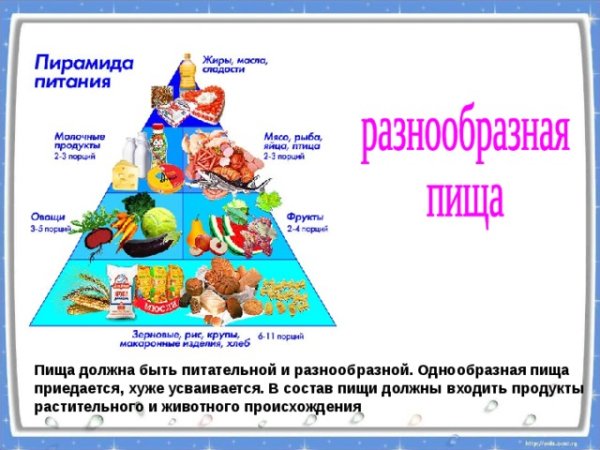 Проект здоровое питание