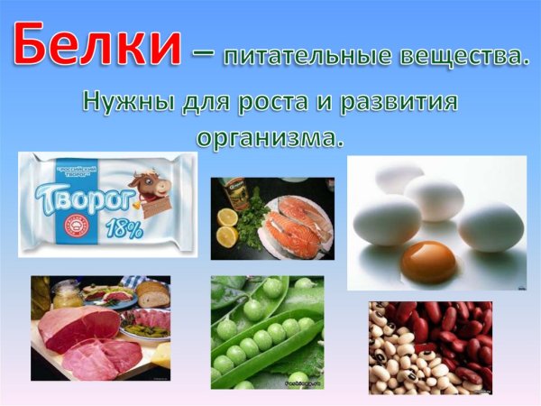 Белки питательные вещества