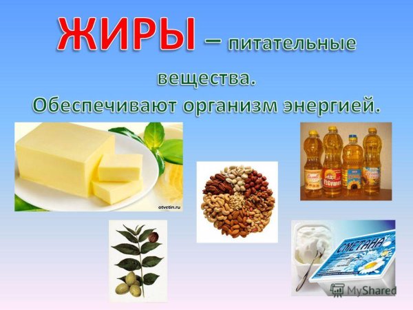 Жиры обеспечивают организм энергией