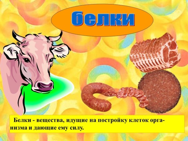 Окружающий мир наше питание