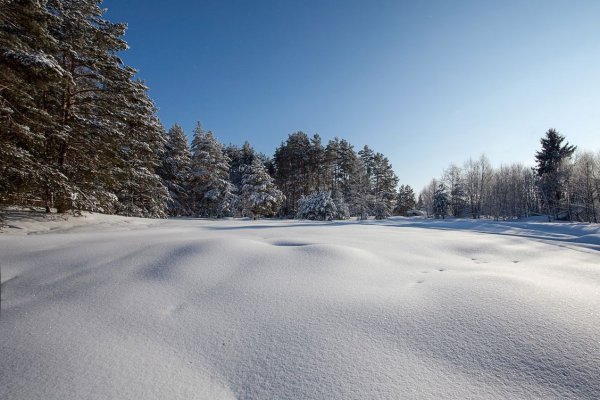 Зимняя Полянка