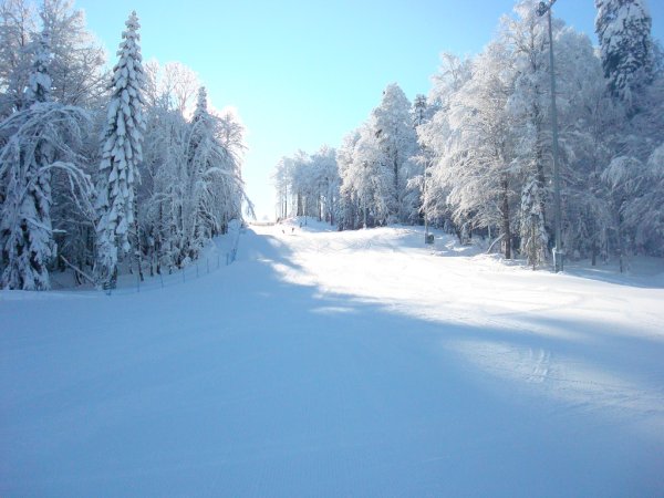 Зимняя Полянка