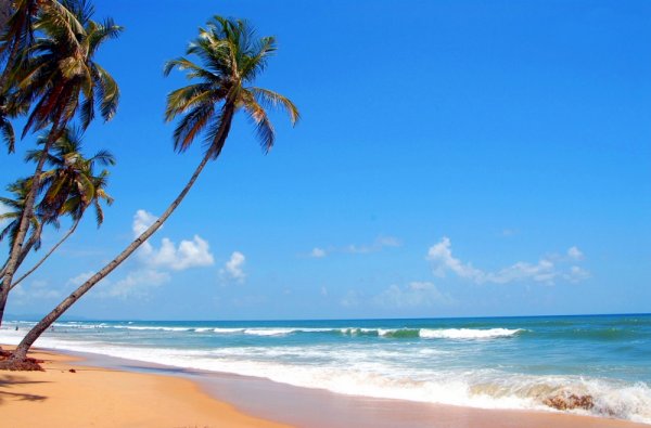 Южное Гоа, пляж Колва