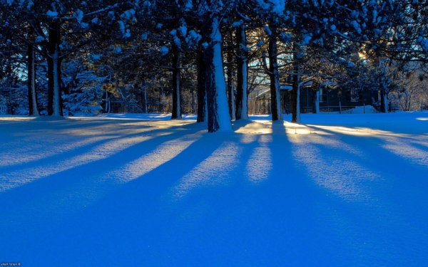 Зима Полянка