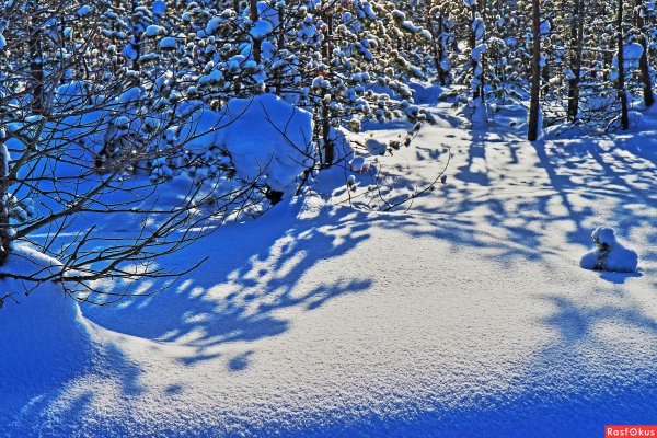 Снег Поляна