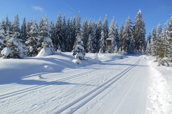 Зима Полянка