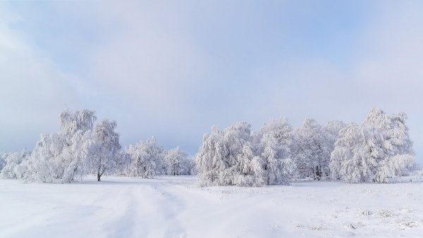 Снег Поляна
