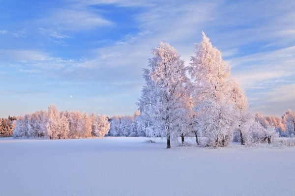 Зимняя Полянка