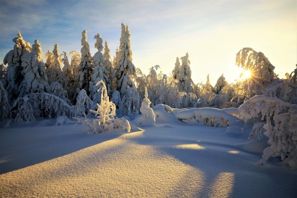 Заснеженная Поляна