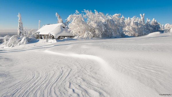 Снежная зима