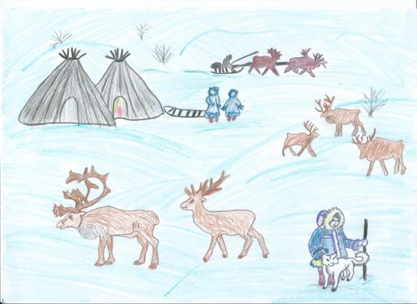 Тундра рисунок