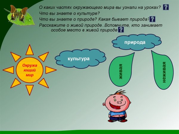 Человек часть окружающего мира