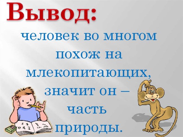 Человек часть живой природы