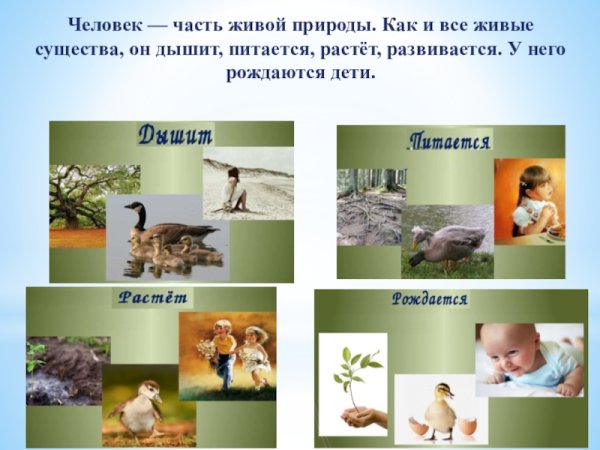 Человек часть живой природы