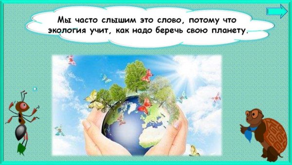 Почему мы часто слышим слово экология
