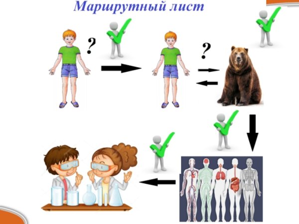 Картинка человек как часть живой природы