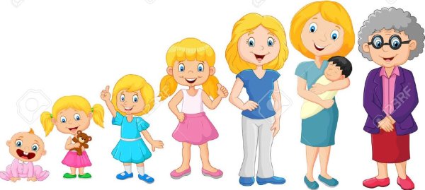 Как растет человек для детей