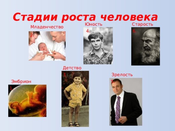 Детство юношество зрелость старость