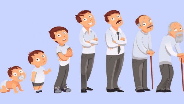 Человек от младенца до старика