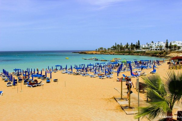 Протарас залив фигового дерева