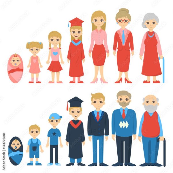 Этапы взросления человека