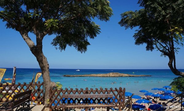 Бухта фигового дерева Кипр