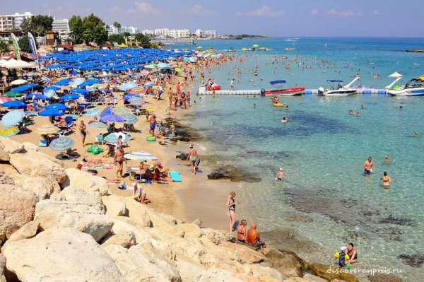 Фиг три Бэй Протарас