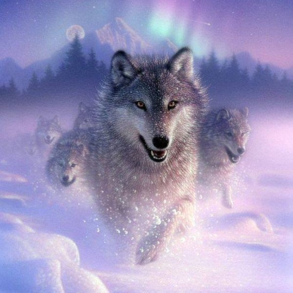 Коллин Богл художник картины