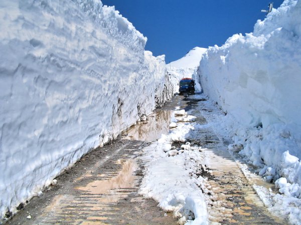 Петропавловск-Камчатский сугробы