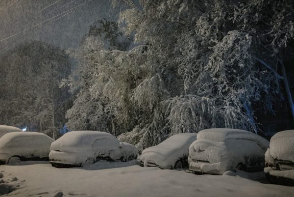 Сильный снегопад