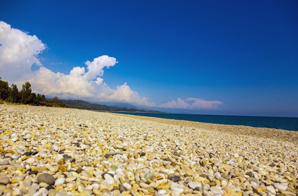 Золотой якорь Абхазия