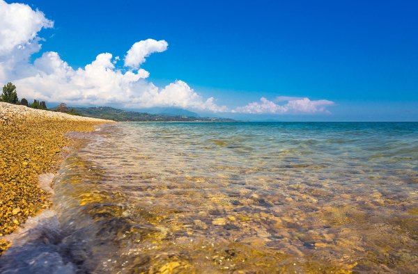 Золотой якорь Абхазия