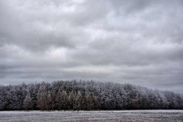 Хмурое зимнее небо