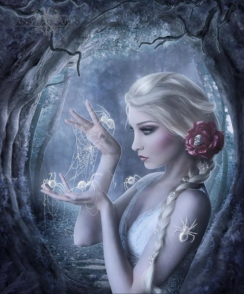 Снежные волшебницы