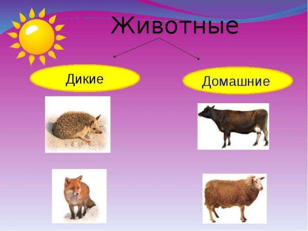 Дикие и домашние животные