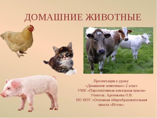 Презентация домашние животные