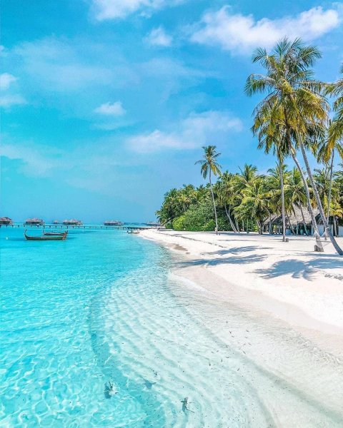 Танзания Занзибар море