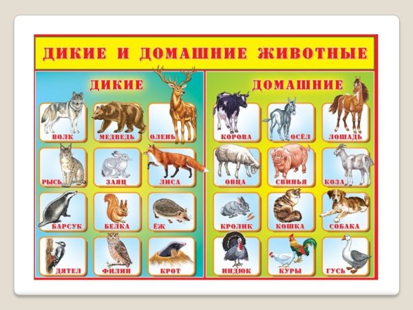 Признаки домашних и диких животных