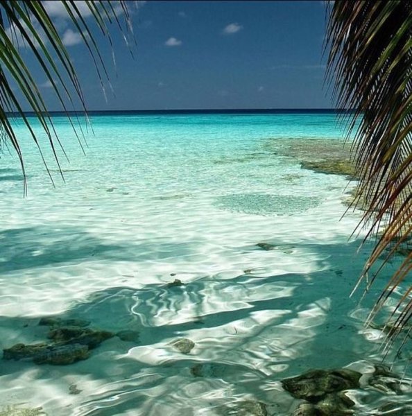 Пляжи Марагожи штат Алагоас Бразилия