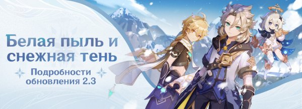 Shadows amidst Snowstorms