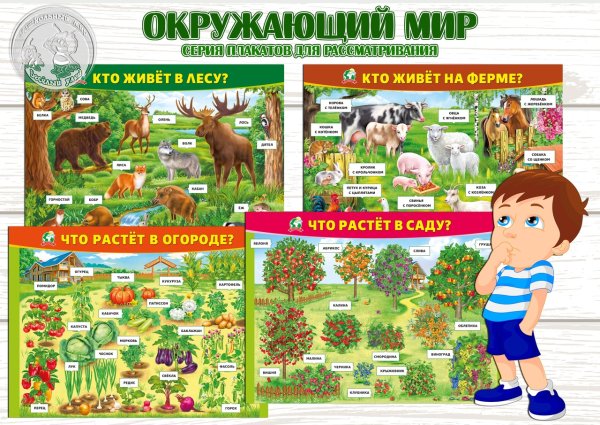 Плакат окружающий мир