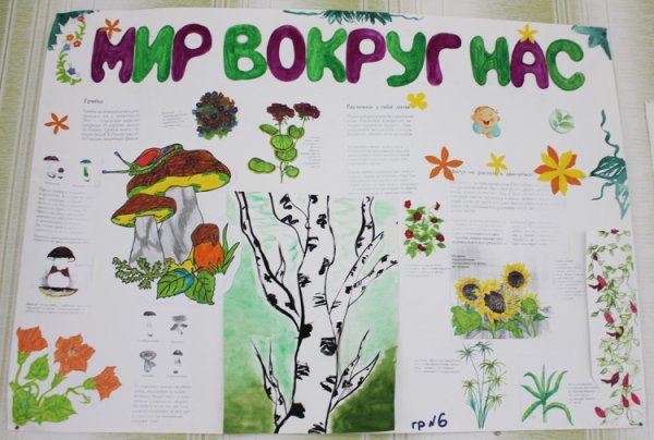 Газета на тему природа