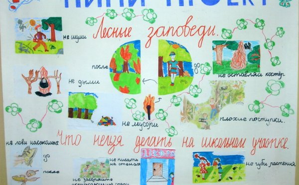 Стенгазета берегите животных