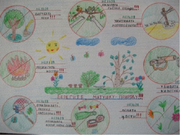 Рисунок правили поведения на природе