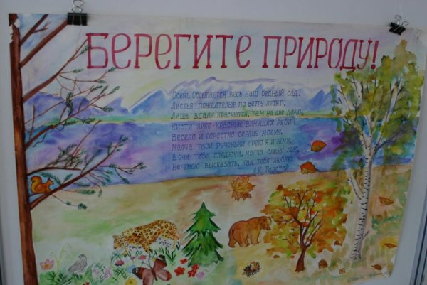 Стенгазета на тему природа