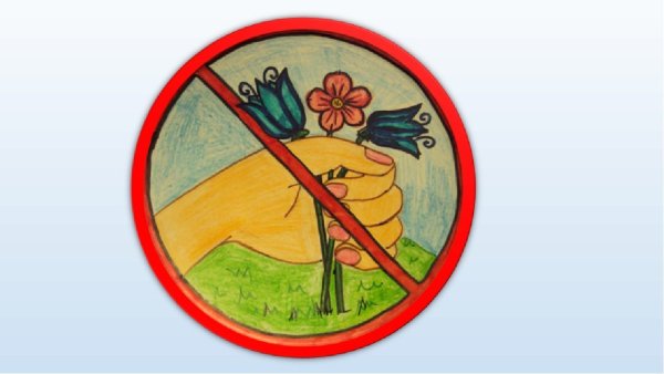 Экологические знаки по охране природы