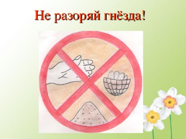 Знак не разорять гнезда