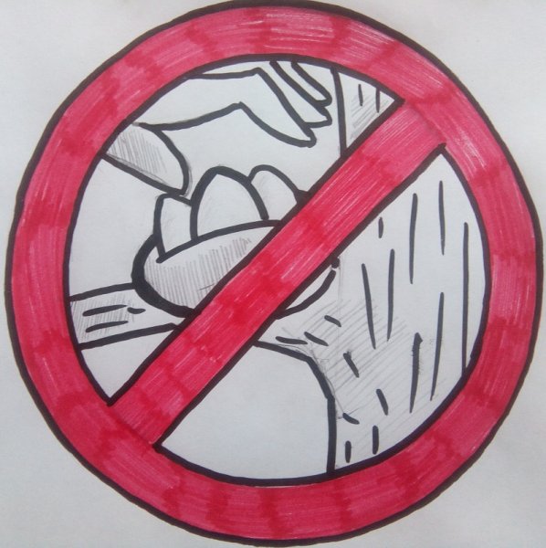 Экологические знаки запрещения