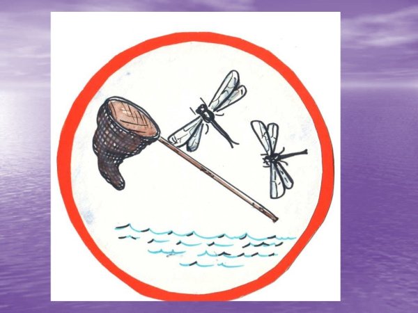 Знаки повеления возле водоёма