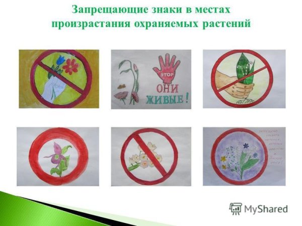 Запрещающие знаки в местах произрастания охраняемых растений